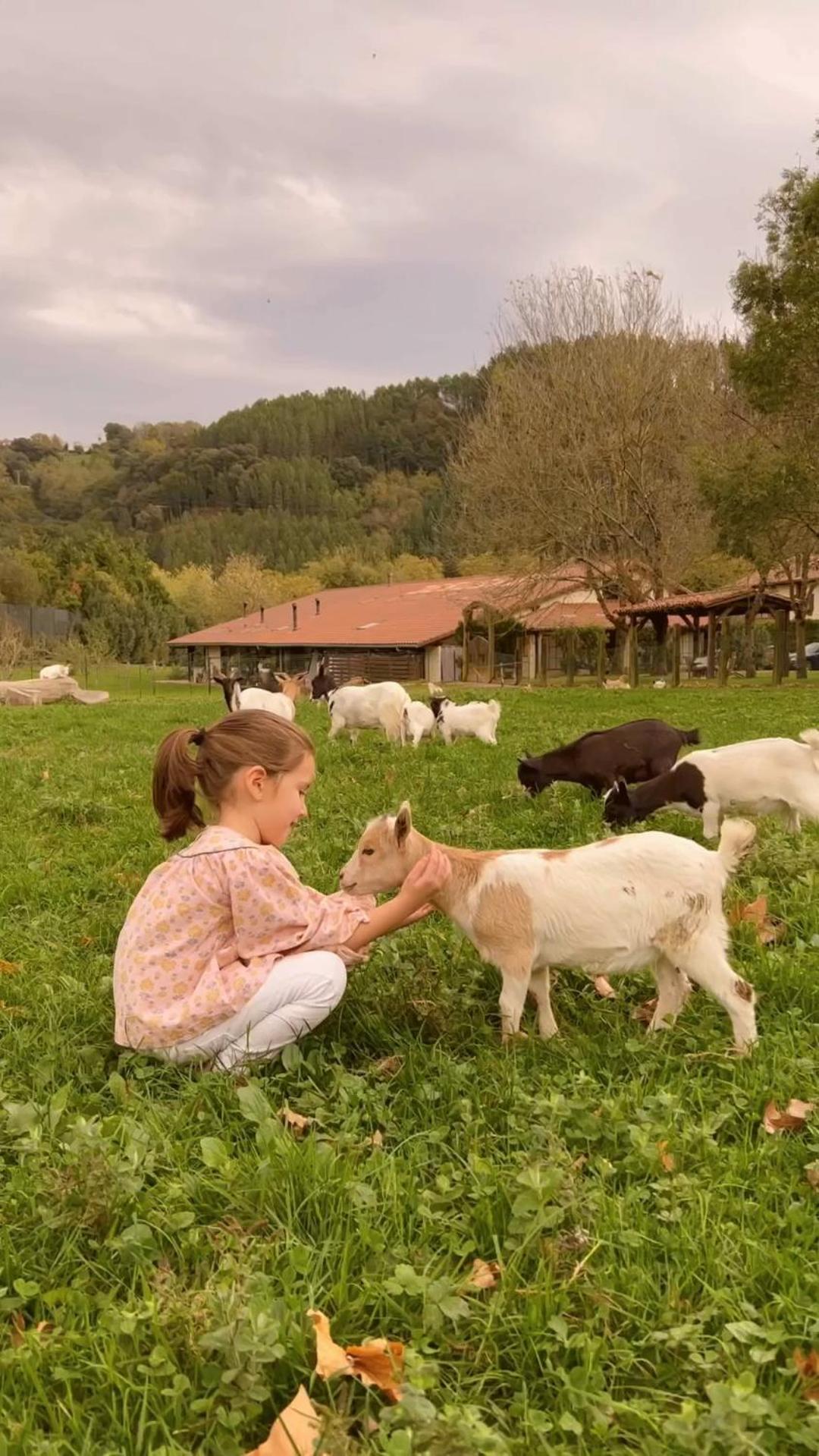 Casa Rural Jesuskoa Zumaia Esterno foto